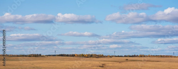 Fototapeta A vast open field with golden hues meets a distant treeline showing autumn's touch under a spacious sky adorned with gentle clouds