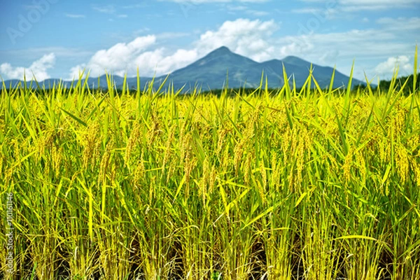 Obraz 磐梯山と田園