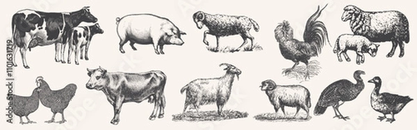 Obraz Large set of farm animals. Hand drawn big farm animals set. Livestock, cattle illustration. Animal grazing. .Vintage woodcut engraving style. Engraved domestic animal. Vector illustration. 