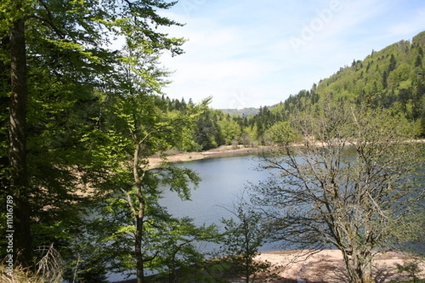 Obraz Etang dans les Vosges