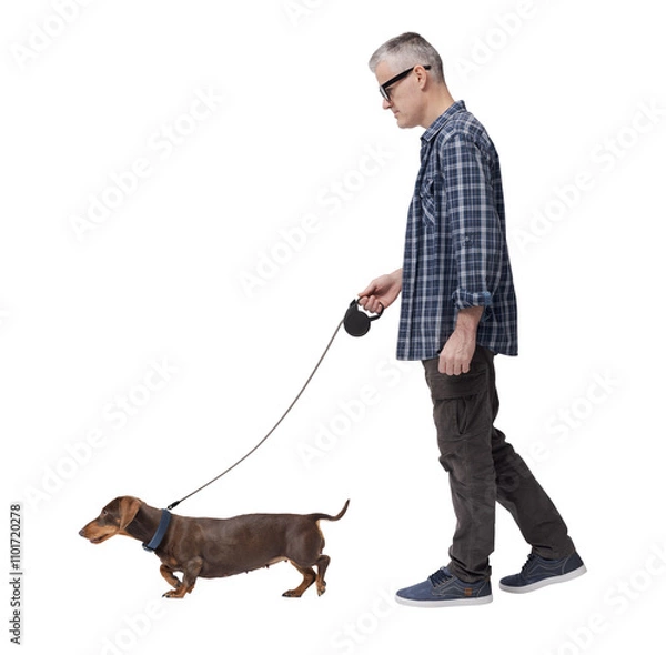 Fototapeta Man walking the dog profile view