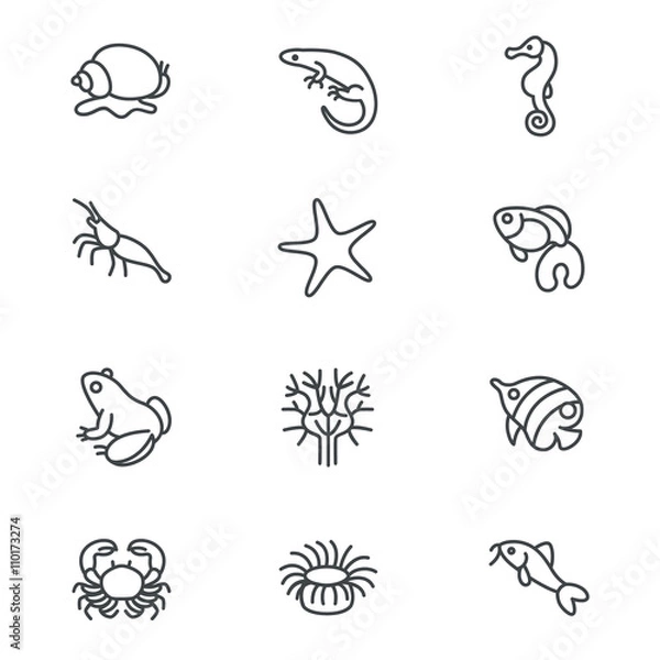 Obraz The most popular aquarium inhabitants as line icons / There are typical aquarium inhabitants like snail, fishes, crabs and corals
