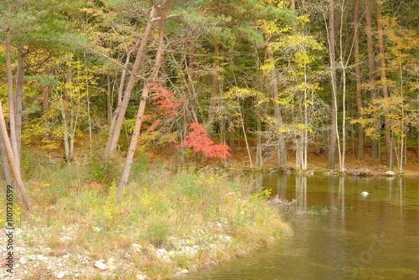 Obraz 가을의 산과 나무가 어우러진 낙엽과 나뭇잎의 다채로운 색상이 어우러진 산책길과 냇가의 자연 환경 이미지