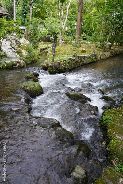 Fototapeta 上賀茂神社境内を流れる川の風景