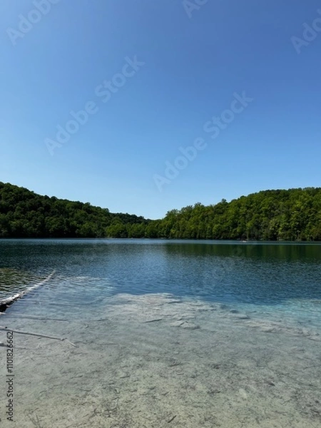 Obraz lake in the forest