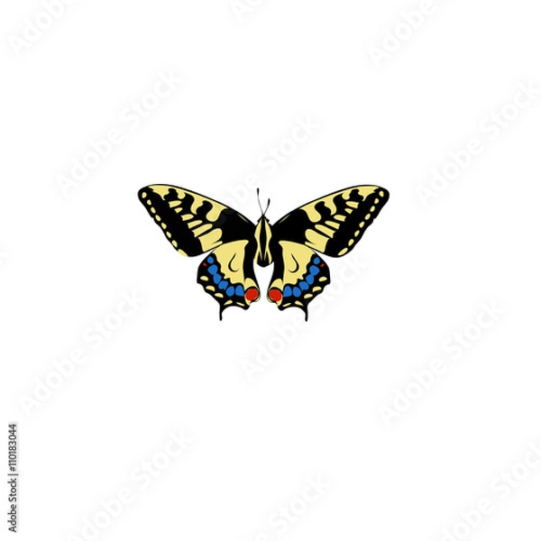 Fototapeta Swallowtail Butterfly pattern insect
