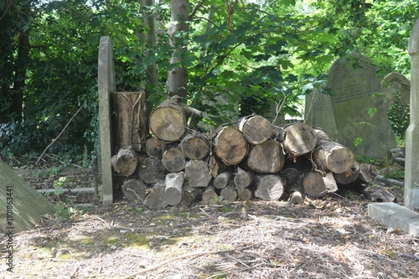 Obraz Cemeteries, graveyards and churches