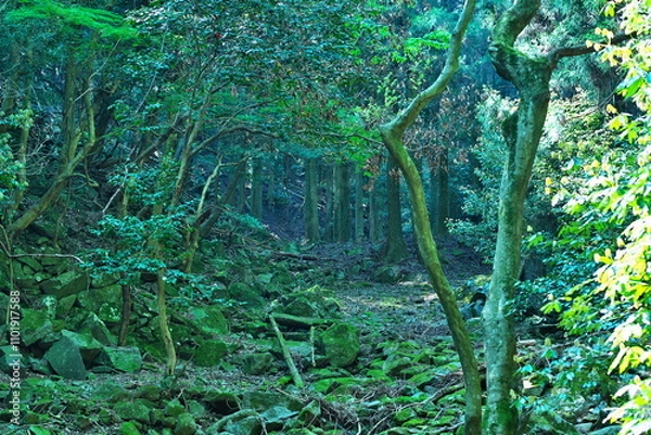 Fototapeta 大分県の国東市の安岐町にある両子山