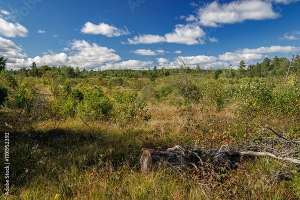 Obraz Buttles Countryside (2024)