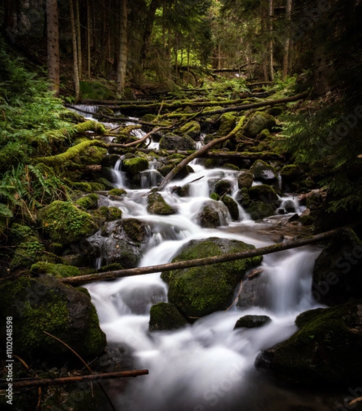 Obraz Mountain forest stream with waterfall in the Caucasus, Russia