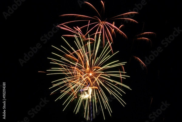 Obraz Festive Fireworks in Full Bloom with long exposure