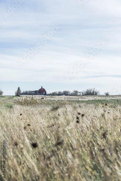 Obraz Ranch from a distance