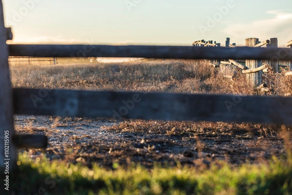 Obraz sunset over the field