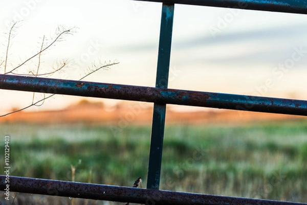 Obraz Rusty Ranch Fence