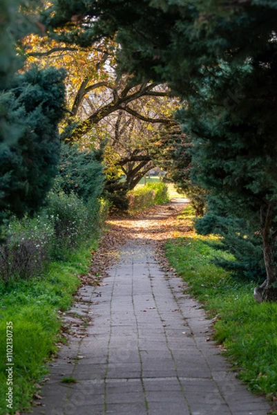 Obraz Autumn Walkway Through a Tree-Lined Path