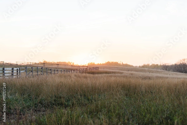 Obraz sunset over the field