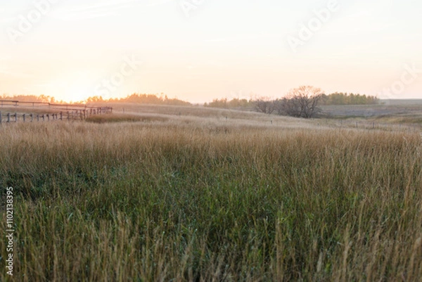 Obraz sunrise over the field