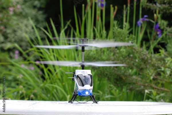 Obraz Model radio controlled helicopter prepares for take off 