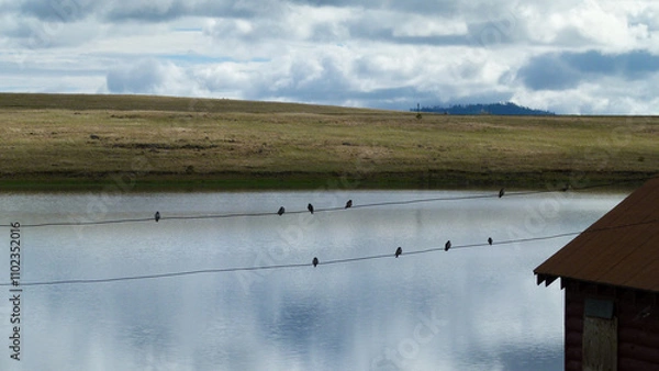 Obraz High mountain arizona lake
