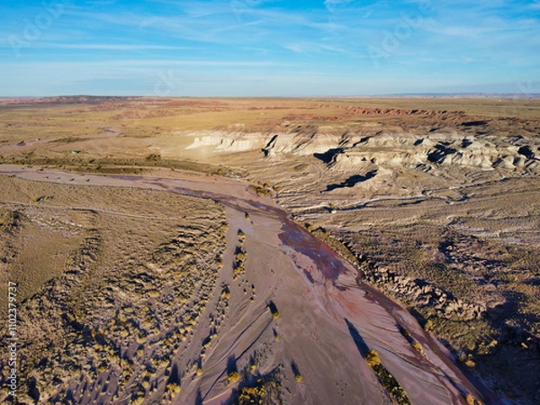 Obraz High Desert Petrified Forest Wash Arizona