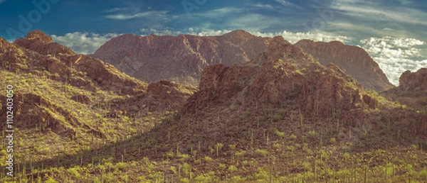 Fototapeta A tranquil desert mountain scene with Saguaro Cacti bathed in sunlight with scattered clouds in a blue sky. Majestic and peaceful, this landscape captures the essence of untouched natural beauty.