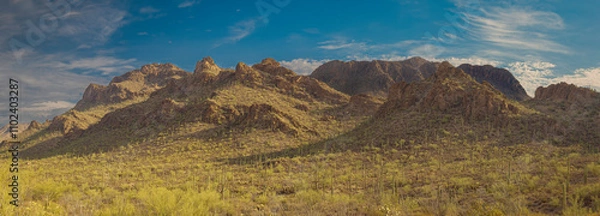 Obraz A panoramic view of a desert landscape featuring rugged mountains under a blue sky. The scenery includes Saguaro cacti and arid vegetation illuminated by warm sunlight.
