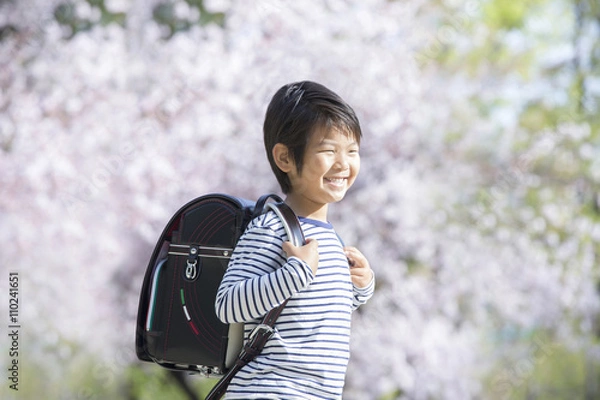 Fototapeta 桜と新学期の男の子