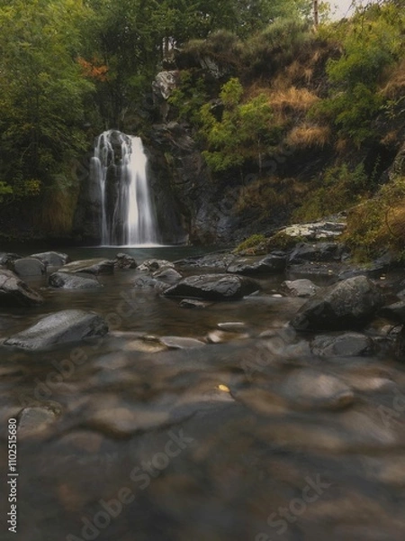 Obraz Waterfall in the forest