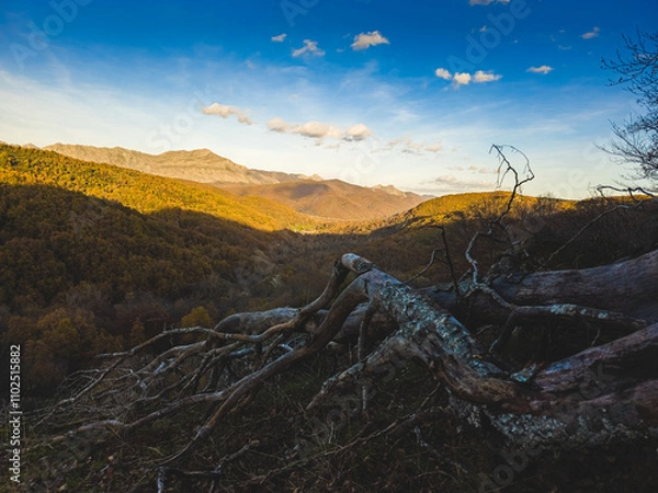 Obraz Sunset in the mountains