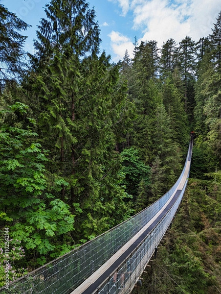 Fototapeta Capilano Suspension Bridge in Vancouver Surrounded by Lush Forest