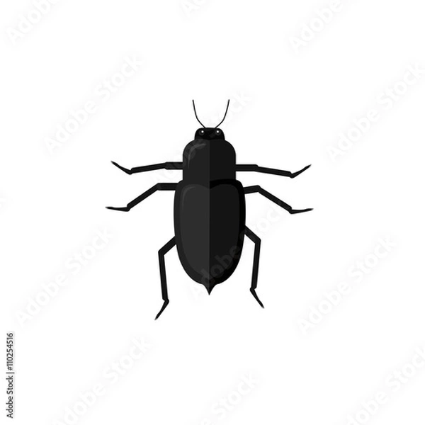 Obraz Protaetia May Bug Insect Design Flat