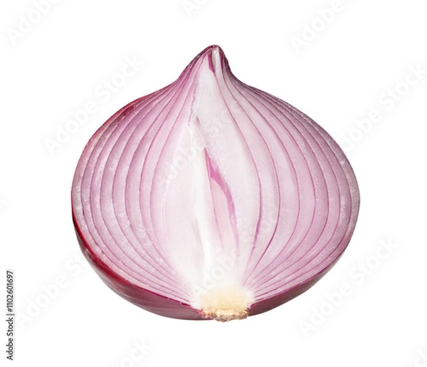 Fototapeta Top view of big red or purple onion bulb in half isolated on white background with clipping path
