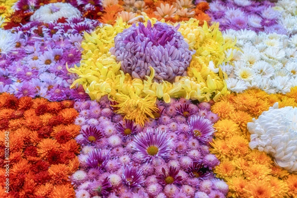 Fototapeta 笠間稲荷神社の菊祭り
