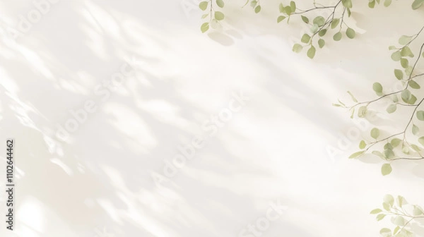 Obraz シンプルな白い壁と葉っぱ