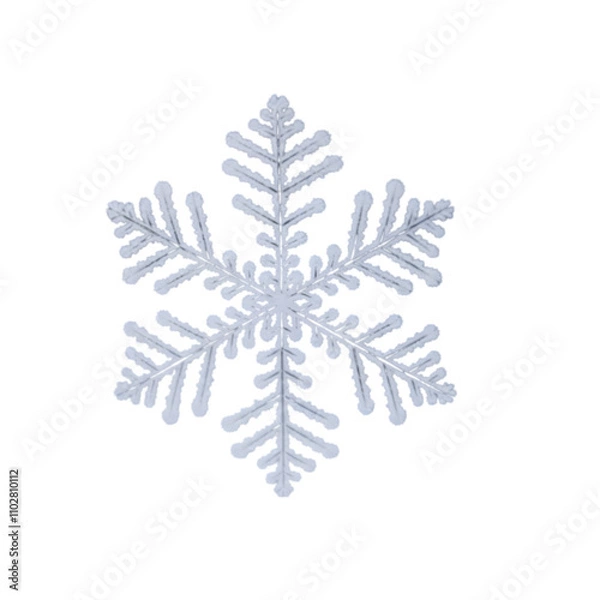 Fototapeta snowflake isolated on white background
