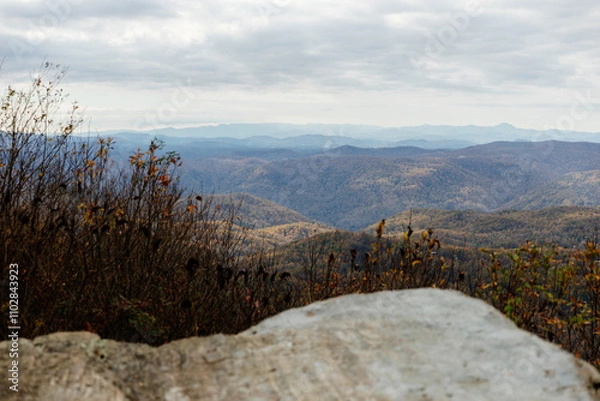 Fototapeta Beautiful autumn landscape with rocks, mountains and forest with yellow and red leaves on trees. Road among mountains in North Carolina, USA.