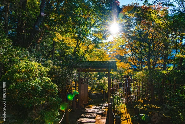 Obraz 京都、南禅寺天授庵の南庭入り口