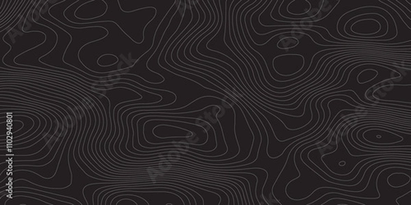 Obraz Abstract Topographic background White&Blak  Topographic Simple Map Design  
