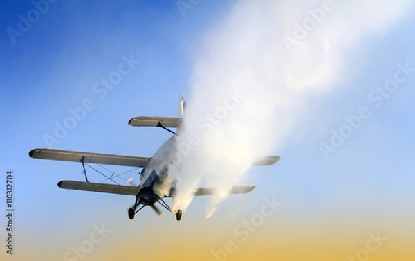 Obraz Fire-fighting aircraft drops water 