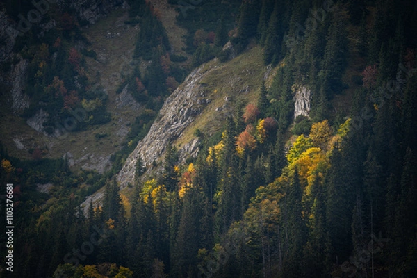 Fototapeta Autumn mountain forest with colorful tree leaves and fog in Slovakia in the High Tatras