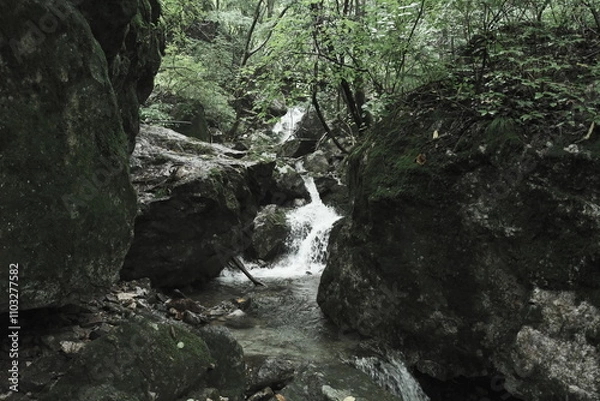 Obraz 산속 깊숙한 곳에 폭포와 개울물이 흐르는 계곡의 협곡사이로 나무와 암석 돌들이 어우러진 자연환경의 배경화면