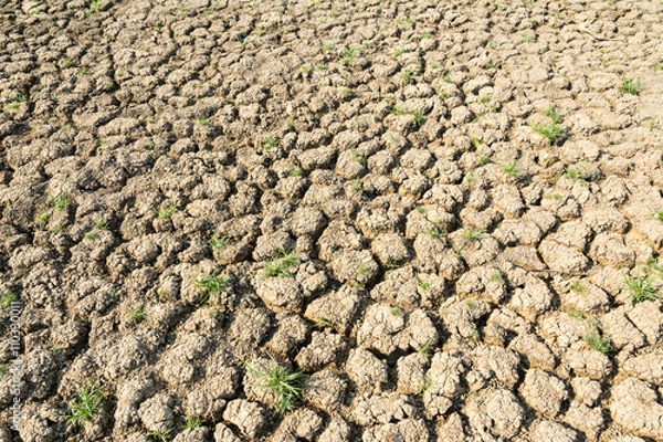 Obraz cracked earth