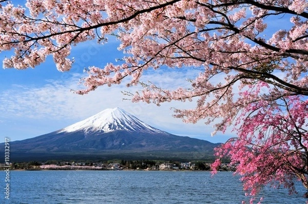 Fototapeta 富士山と桜