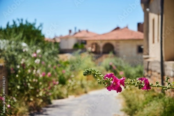 Fototapeta A branch of a flowering plant on the background of beautiful houses.