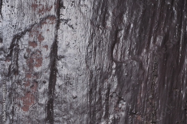 Fototapeta Backgrounds /OLYMPUS DIGITAL CAMERA