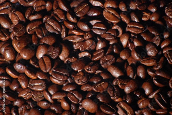 Obraz Kaffeebohnen