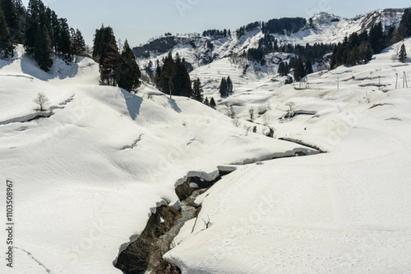 Obraz 雪解けが進む早春の芋川