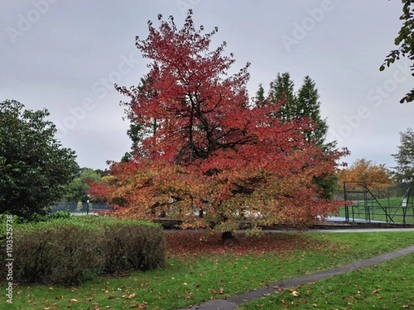 Obraz Valley Gardens, Harrogate