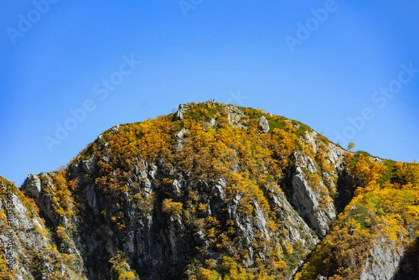 Obraz 秋色に染まりし穂高の峰々