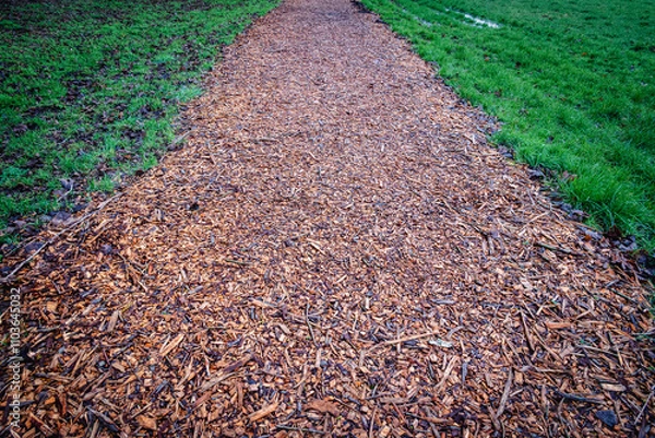 Fototapeta A footpath formed entirely of wet wood chips stretches across the grass, with the rich textures of the chips creating an aesthetically pleasing natural pathway 2
